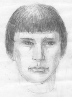 Портрет подозреваемого:  мужчина в возрасте от 20 до 35 лет; среднего роста (около 175 см);  худощавого телосложения.